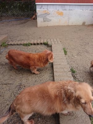 f:id:roukenhome-ann:20190105073444j:plain