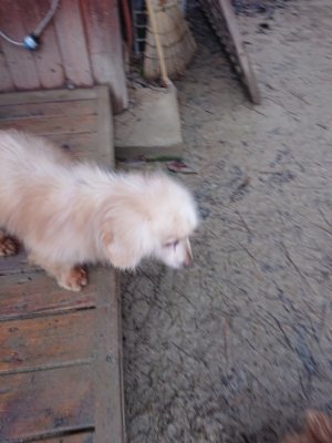f:id:roukenhome-ann:20190105074020j:plain