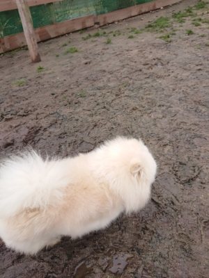 f:id:roukenhome-ann:20190105075204j:plain