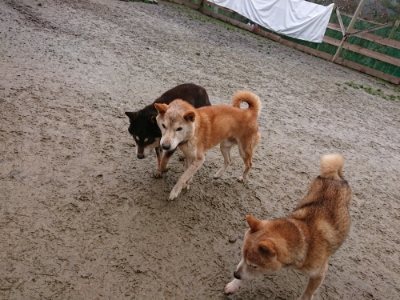f:id:roukenhome-ann:20190105075223j:plain