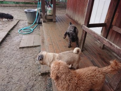 f:id:roukenhome-ann:20190105075417j:plain