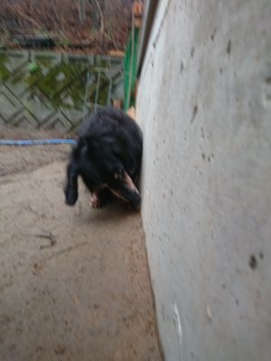 f:id:roukenhome-ann:20190105075459j:plain