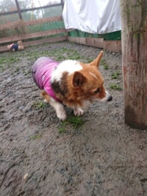 f:id:roukenhome-ann:20190105075522j:plain