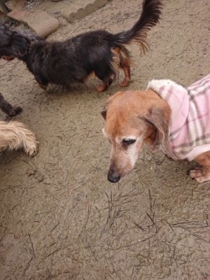 f:id:roukenhome-ann:20190105075825j:plain