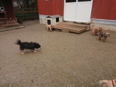 f:id:roukenhome-ann:20190105080035j:plain