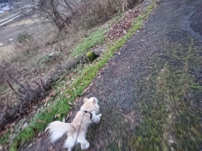 f:id:roukenhome-ann:20190105121501j:plain