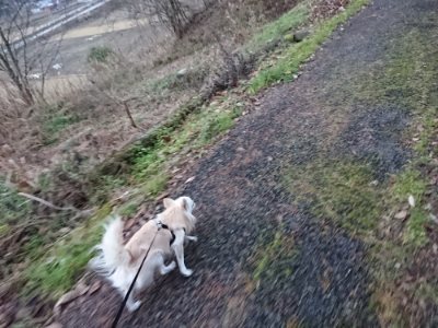 f:id:roukenhome-ann:20190105121519j:plain