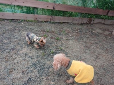 f:id:roukenhome-ann:20190106073747j:plain f:id:roukenhome-ann:20190106073747j:plain