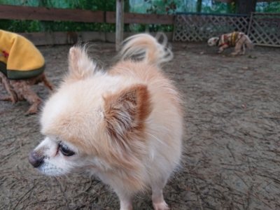 f:id:roukenhome-ann:20190106073820j:plain f:id:roukenhome-ann:20190106073820j:plain