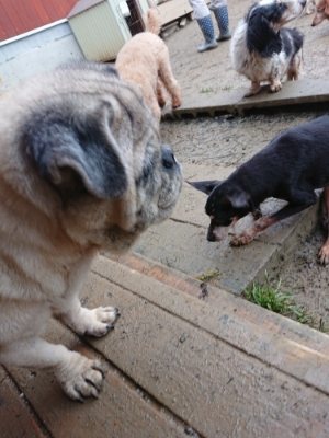 f:id:roukenhome-ann:20190106073830j:plain f:id:roukenhome-ann:20190106073830j:plain