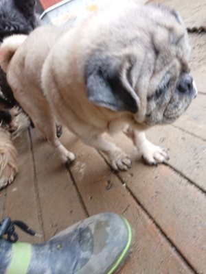 f:id:roukenhome-ann:20190106073852j:plain f:id:roukenhome-ann:20190106073852j:plain