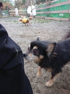 f:id:roukenhome-ann:20190106073910j:plain f:id:roukenhome-ann:20190106073910j:plain