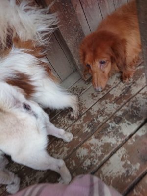 f:id:roukenhome-ann:20190106073957j:plain f:id:roukenhome-ann:20190106073957j:plain
