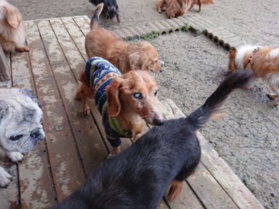 f:id:roukenhome-ann:20190106074011j:plain f:id:roukenhome-ann:20190106074011j:plain
