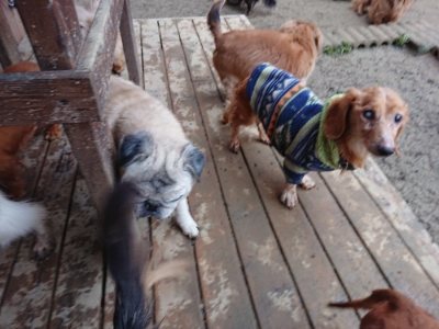 f:id:roukenhome-ann:20190106074016j:plain f:id:roukenhome-ann:20190106074016j:plain