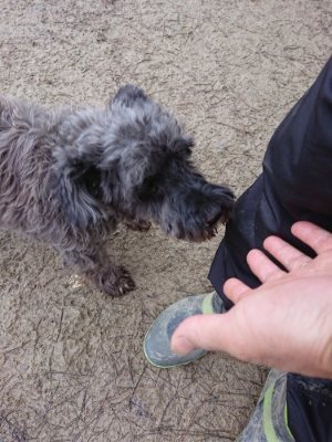 f:id:roukenhome-ann:20190106074031j:plain f:id:roukenhome-ann:20190106074031j:plain
