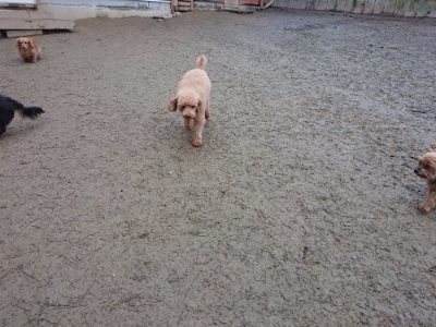 f:id:roukenhome-ann:20190106074402j:plain f:id:roukenhome-ann:20190106074402j:plain