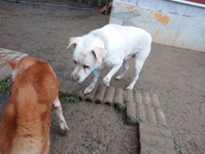 f:id:roukenhome-ann:20190106074508j:plain f:id:roukenhome-ann:20190106074508j:plain