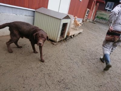 f:id:roukenhome-ann:20190106074623j:plain f:id:roukenhome-ann:20190106074623j:plain