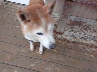 f:id:roukenhome-ann:20190106074633j:plain f:id:roukenhome-ann:20190106074633j:plain