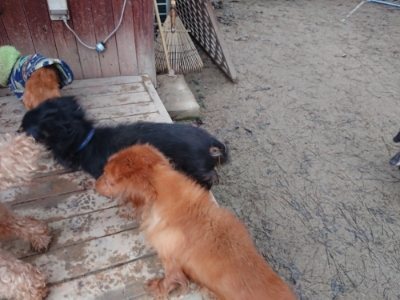 f:id:roukenhome-ann:20190106074641j:plain f:id:roukenhome-ann:20190106074641j:plain
