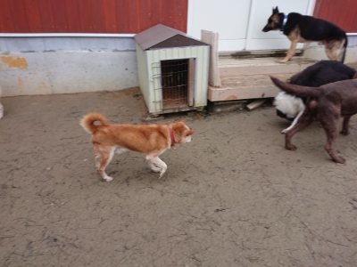 f:id:roukenhome-ann:20190106074706j:plain f:id:roukenhome-ann:20190106074706j:plain