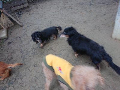 f:id:roukenhome-ann:20190106074711j:plain f:id:roukenhome-ann:20190106074711j:plain