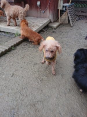 f:id:roukenhome-ann:20190106075045j:plain f:id:roukenhome-ann:20190106075045j:plain