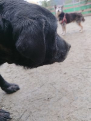 f:id:roukenhome-ann:20190106075130j:plain f:id:roukenhome-ann:20190106075130j:plain