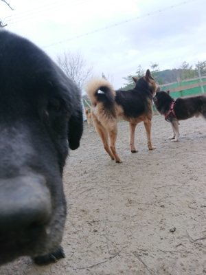 f:id:roukenhome-ann:20190106075216j:plain f:id:roukenhome-ann:20190106075216j:plain