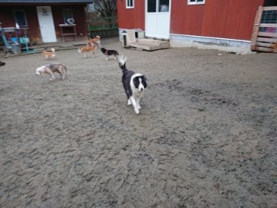 f:id:roukenhome-ann:20190106075316j:plain f:id:roukenhome-ann:20190106075316j:plain