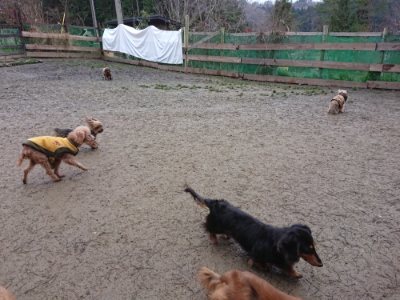 f:id:roukenhome-ann:20190106075350j:plain f:id:roukenhome-ann:20190106075350j:plain