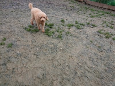f:id:roukenhome-ann:20190106075744j:plain f:id:roukenhome-ann:20190106075744j:plain