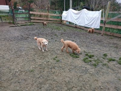 f:id:roukenhome-ann:20190106075811j:plain f:id:roukenhome-ann:20190106075811j:plain