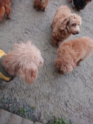 f:id:roukenhome-ann:20190106075821j:plain f:id:roukenhome-ann:20190106075821j:plain