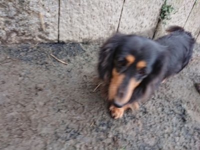 f:id:roukenhome-ann:20190106075834j:plain f:id:roukenhome-ann:20190106075834j:plain