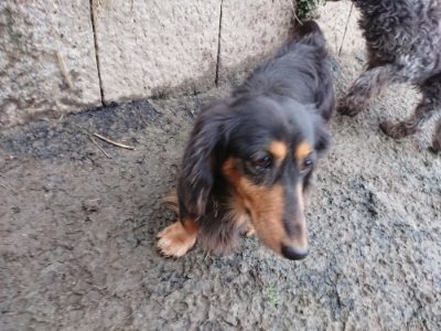 f:id:roukenhome-ann:20190106075839j:plain f:id:roukenhome-ann:20190106075839j:plain