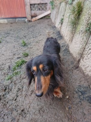 f:id:roukenhome-ann:20190106075903j:plain f:id:roukenhome-ann:20190106075903j:plain