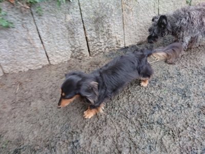 f:id:roukenhome-ann:20190106085720j:plain