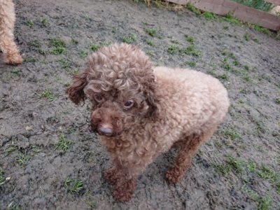 f:id:roukenhome-ann:20190106085728j:plain