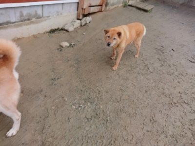 f:id:roukenhome-ann:20190106085845j:plain