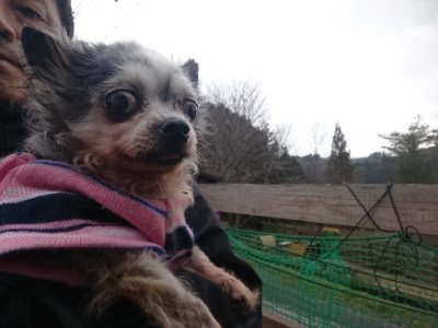 f:id:roukenhome-ann:20190106085850j:plain
