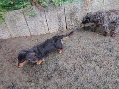 f:id:roukenhome-ann:20190106090055j:plain