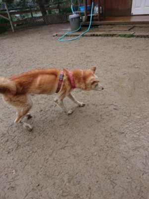 f:id:roukenhome-ann:20190106090141j:plain