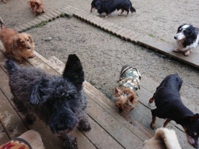 f:id:roukenhome-ann:20190106124231j:plain