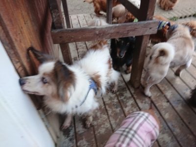 f:id:roukenhome-ann:20190106124245j:plain