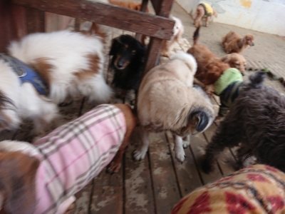 f:id:roukenhome-ann:20190106124332j:plain