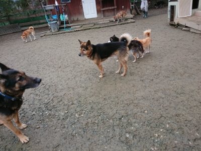 f:id:roukenhome-ann:20190106124342j:plain