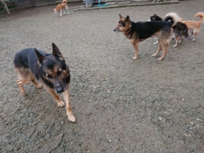 f:id:roukenhome-ann:20190106124347j:plain