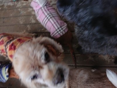 f:id:roukenhome-ann:20190106124351j:plain